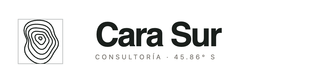Cara Sur